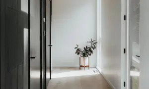 Pasillo minimalista con puertas oscuras y una planta en maceta blanca. La luz del sol ilumina el suelo de madera, creando un ambiente acogedor en estas entradas pequeñas con encanto.