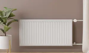 Un radiador blanco, moderno y elegante, calienta la estancia. A su lado, una planta en maceta dorada aporta vida.