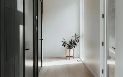 Pasillo minimalista con puertas oscuras y una planta en maceta blanca. La luz del sol ilumina el suelo de madera, creando un ambiente acogedor en estas entradas pequeñas con encanto.