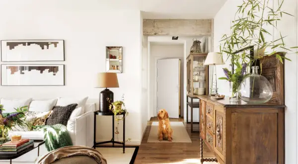 Un perro espera en el pasillo que conecta el salón y la entrada. Muebles antiguos y plantas decoran el espacio.