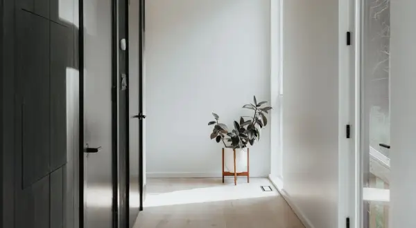 Pasillo minimalista con puertas oscuras y una planta en maceta blanca. La luz del sol ilumina el suelo de madera, creando un ambiente acogedor en estas entradas pequeñas con encanto.