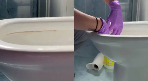 Manos con guantes morados limpiando el fondo del inodoro con sarro.