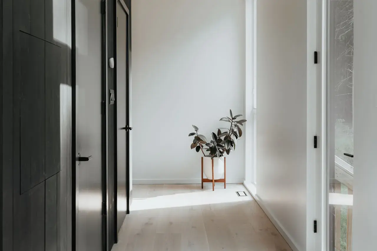 Pasillo minimalista con puertas oscuras y una planta en maceta blanca. La luz del sol ilumina el suelo de madera, creando un ambiente acogedor en estas entradas pequeñas con encanto.