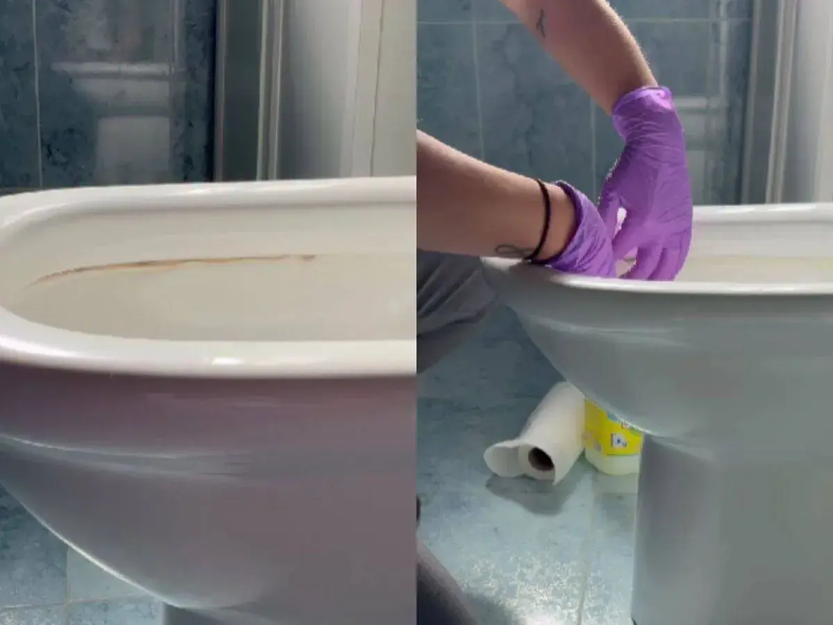Manos con guantes morados limpiando el fondo del inodoro con sarro.