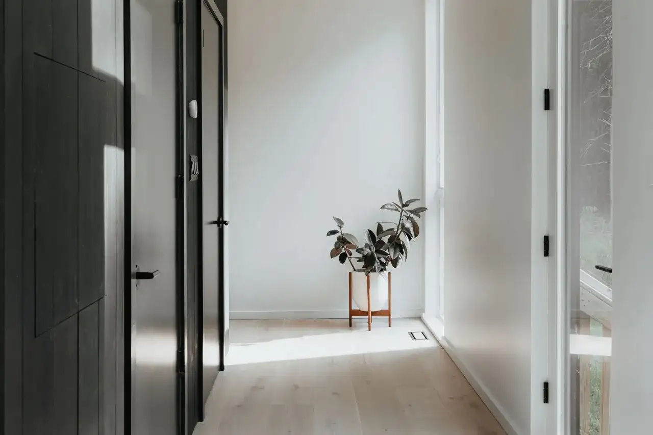 Pasillo minimalista con puertas oscuras y una planta en maceta blanca. La luz del sol ilumina el suelo de madera, creando un ambiente acogedor en estas entradas pequeñas con encanto.