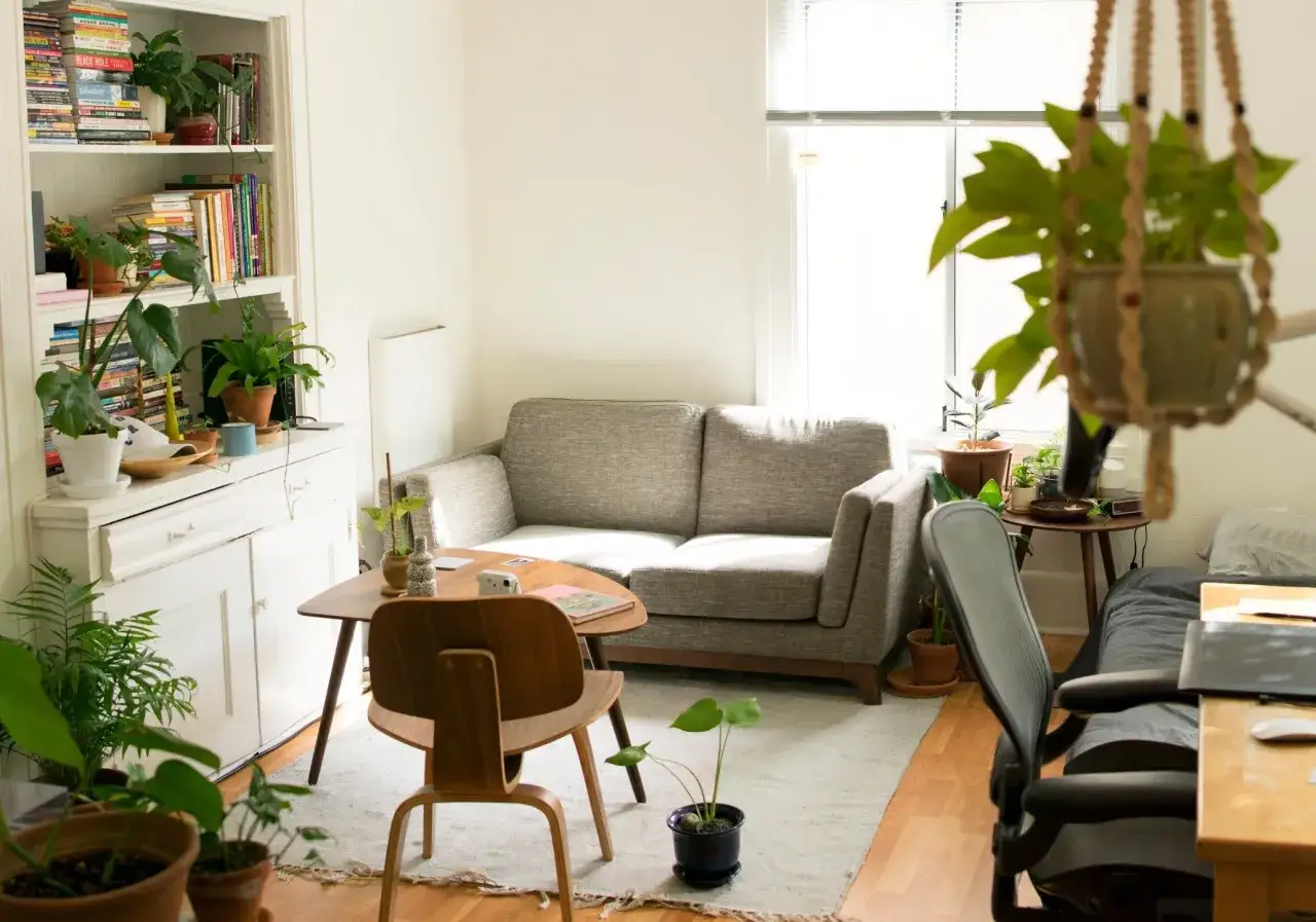 Sala ordenada y luminosa, con plantas y libros organizados al estilo método Marie Kondo.