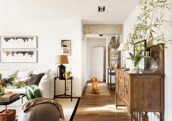 Un perro espera en el pasillo que conecta el salón y la entrada. Muebles antiguos y plantas decoran el espacio.